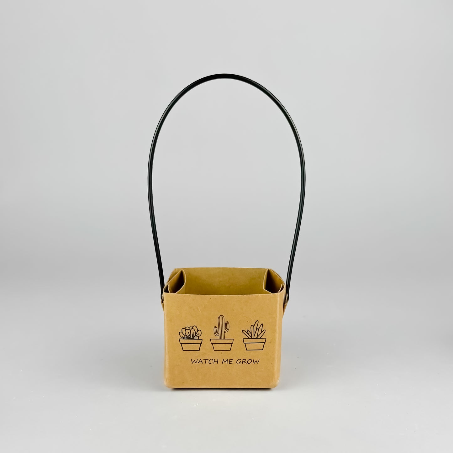 Succulent Gift Set - 5cm pot