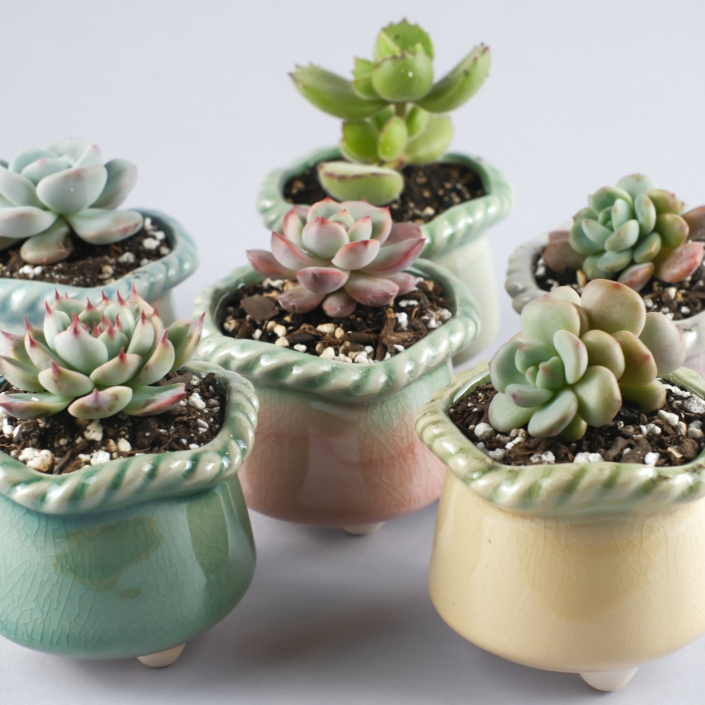 Ceramic Crackle-Glaze Pot – Twisted Wavy Rim