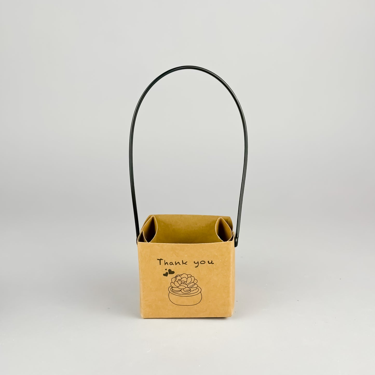 Succulent Gift Set - Succulent with handmade unglazed Succulent Pot + gift box (6 options)