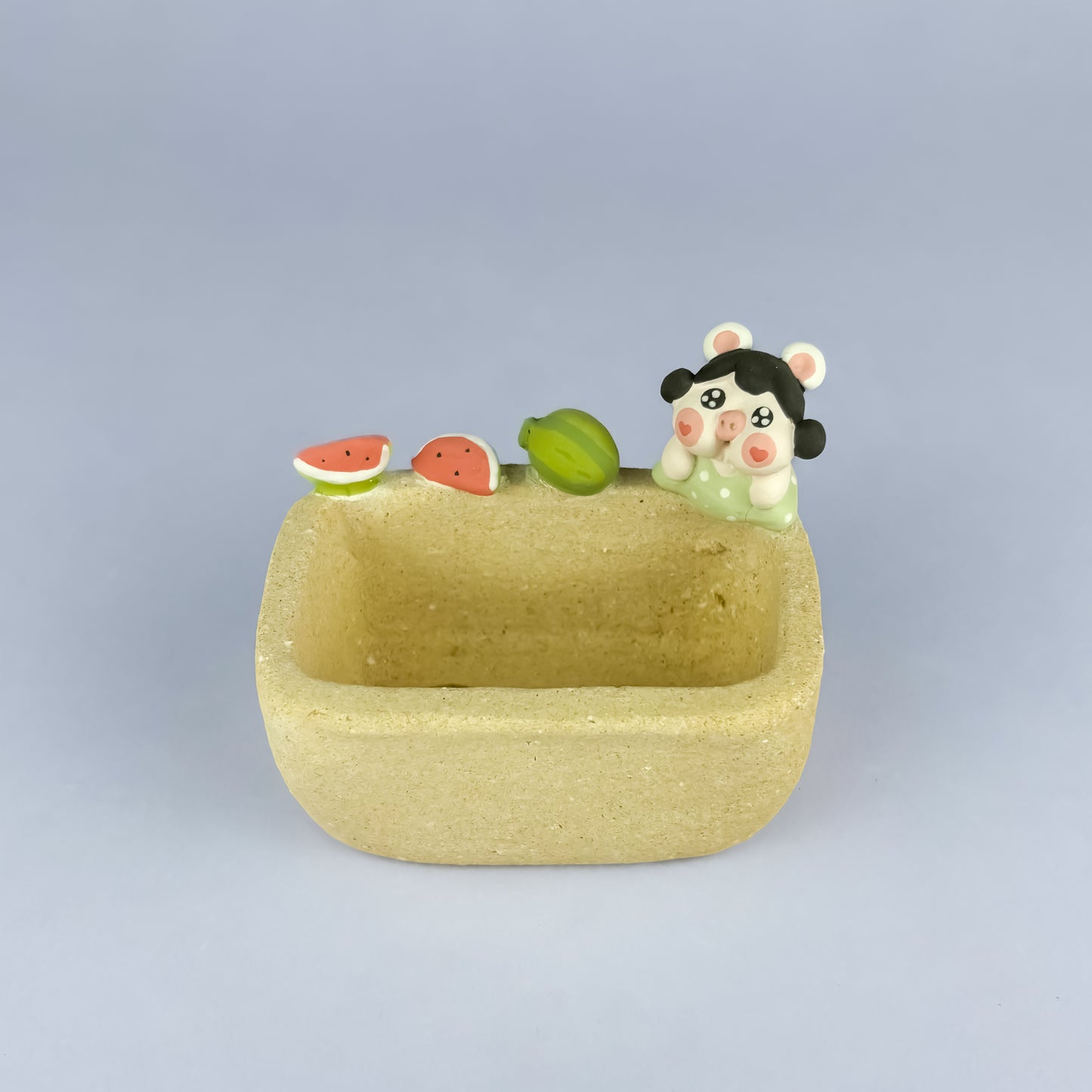 Handmade Unglazed Cute Piggy Character Succulent Pot