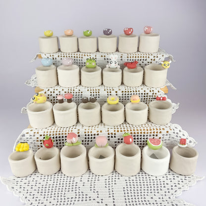 Mini Handmade Unglazed Succulent Pot – Thumb Size with Adorable Decorations