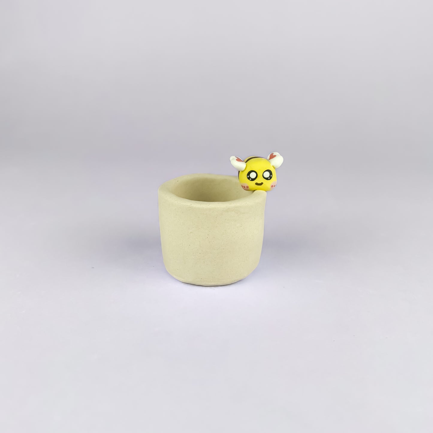 Mini Handmade Unglazed Succulent Pot – Thumb Size with Adorable Decorations