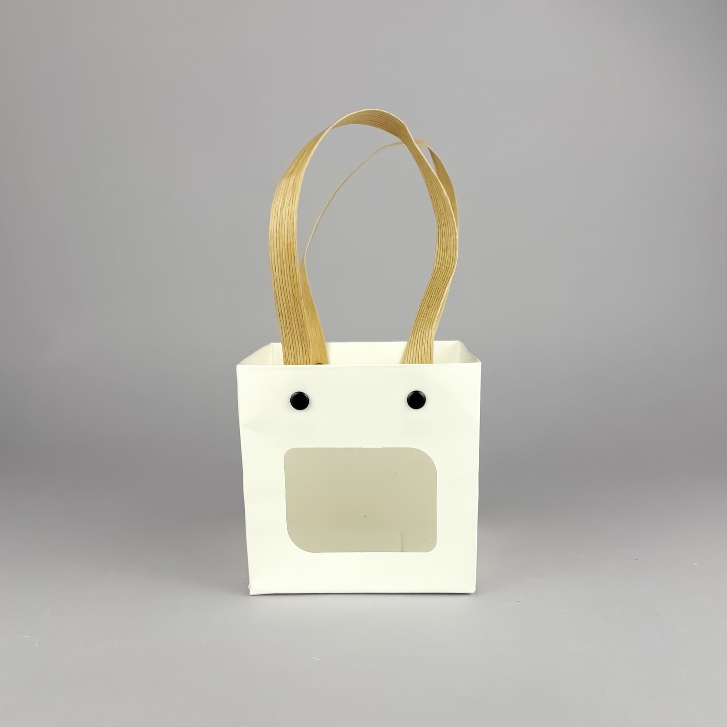 Succulent Gift Set - Succulent with ceramic crackle-glaze pot + gift box (4 options)