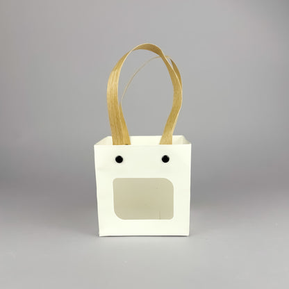 Succulent Gift Set - Succulent with ceramic crackle-glaze pot + gift box (4 options)