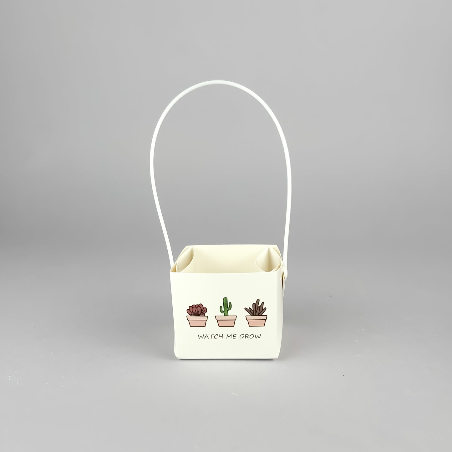 Succulent Gift Set - Succulent with handmade unglazed Succulent Pot + gift box (6 options)