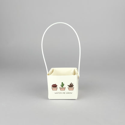 Succulent Gift Set - Succulent with handmade unglazed Succulent Pot + gift box (6 options)