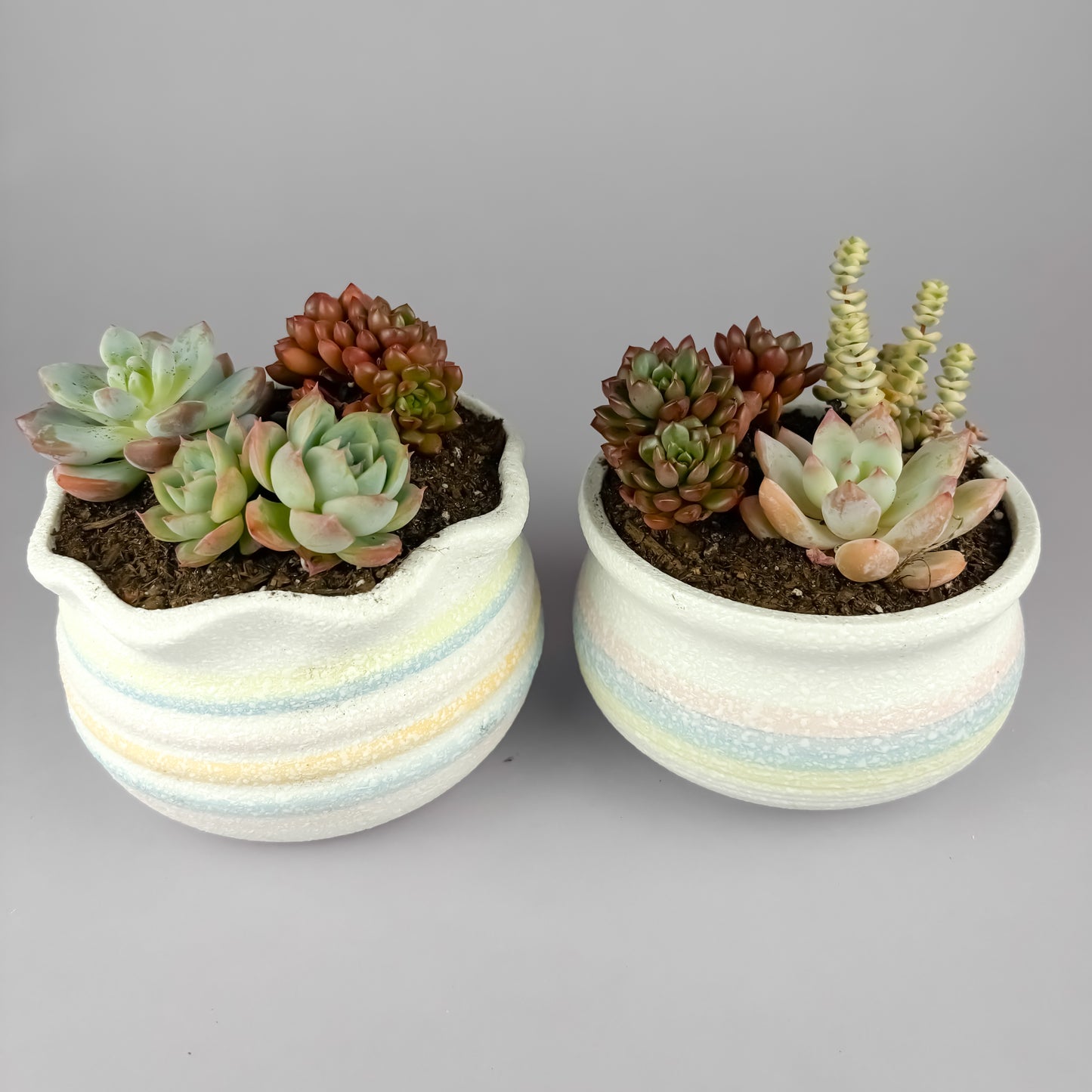 Snowflake Glaze Ceramic Succulent Pot