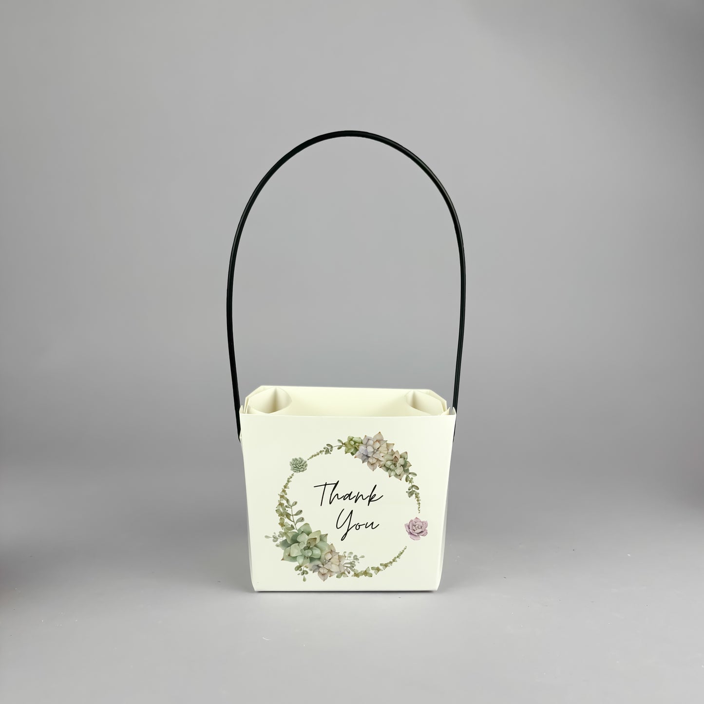 Succulent Gift Set - Succulent with ceramic crackle-glaze pot + gift box (4 options)