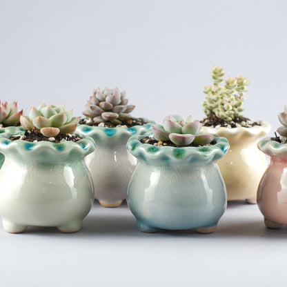 Ceramic Crackle-Glaze Pot – Cat-Eye-Like Shimmer