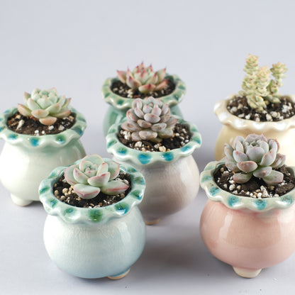 Ceramic Crackle-Glaze Pot – Cat-Eye-Like Shimmer