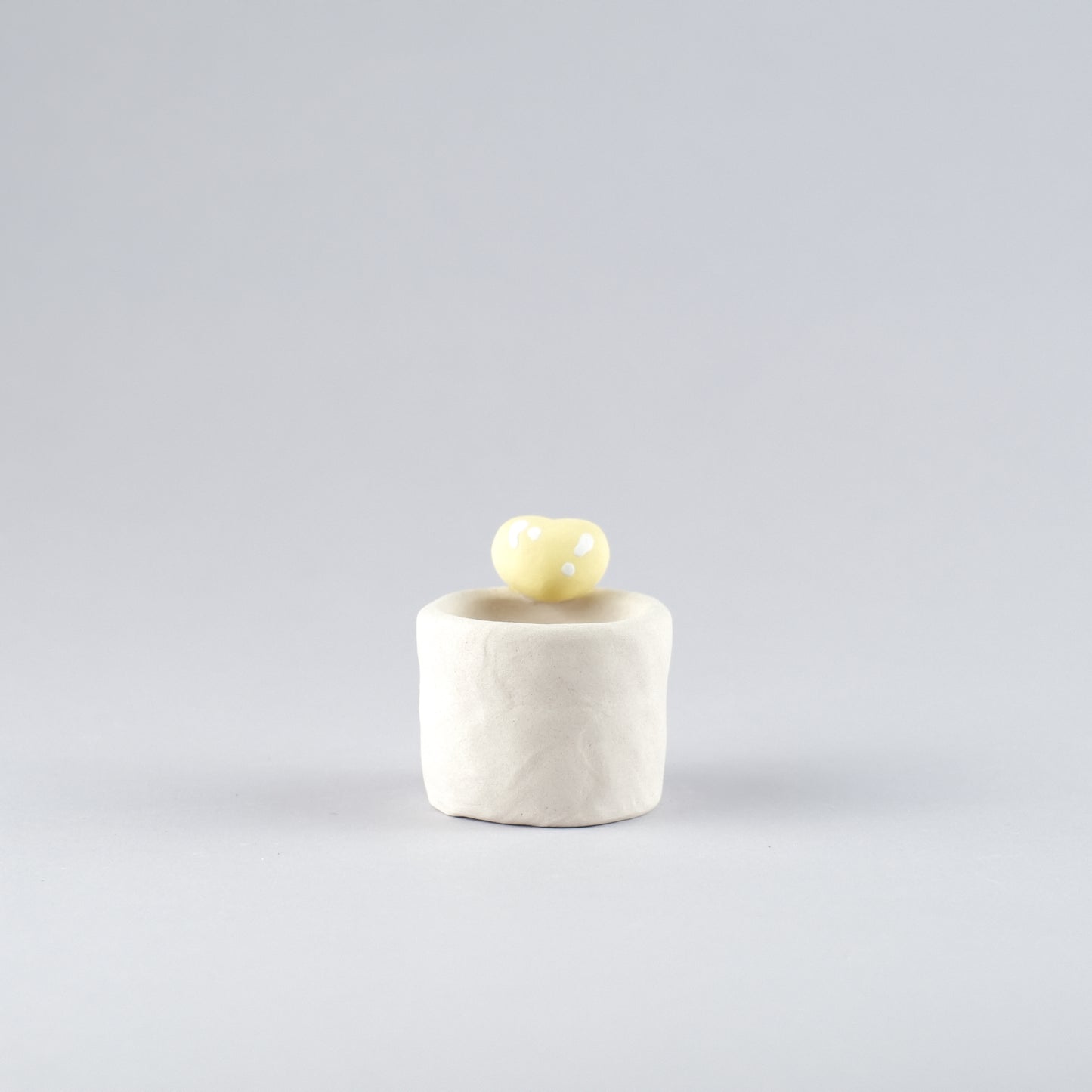 Mini Handmade Unglazed Succulent Pot – Thumb Size with Adorable Decorations