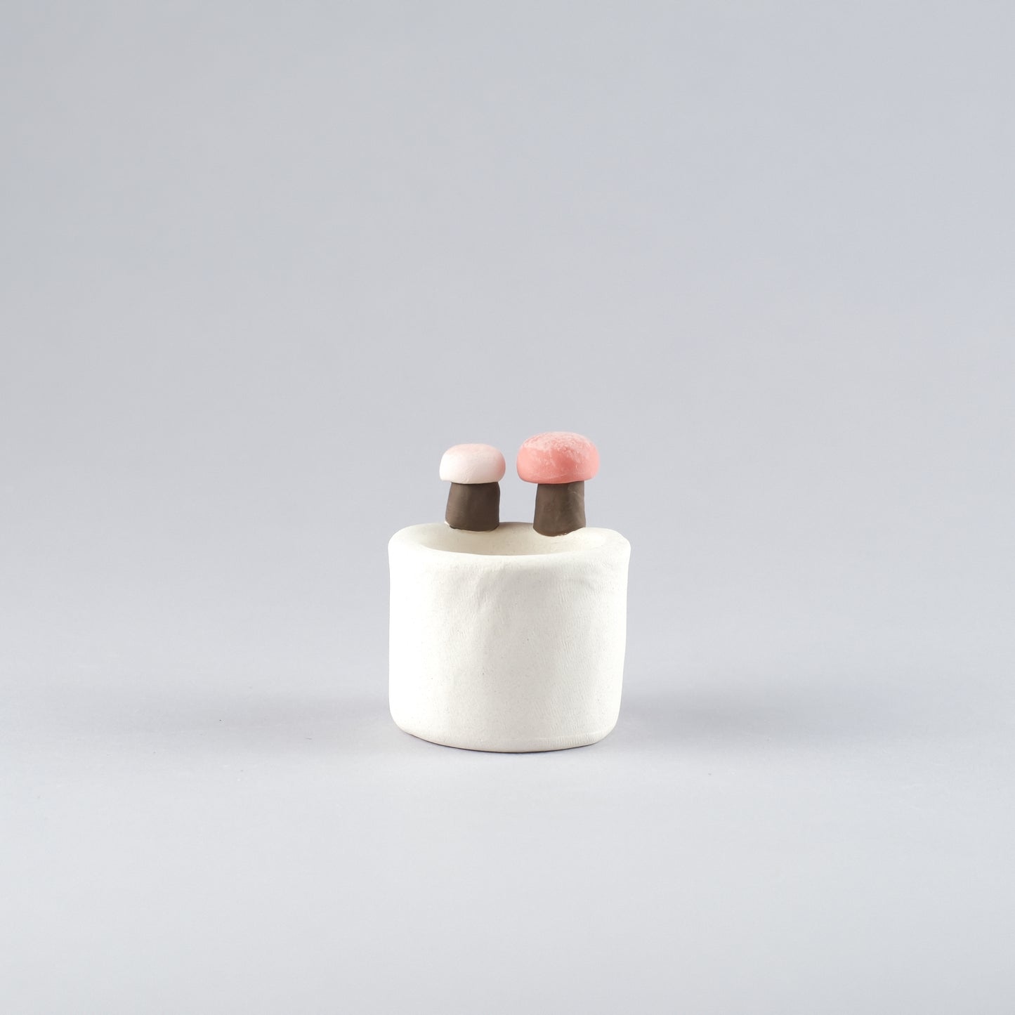 Mini Handmade Unglazed Succulent Pot – Thumb Size with Adorable Decorations