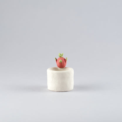 Mini Handmade Unglazed Succulent Pot – Thumb Size with Adorable Decorations