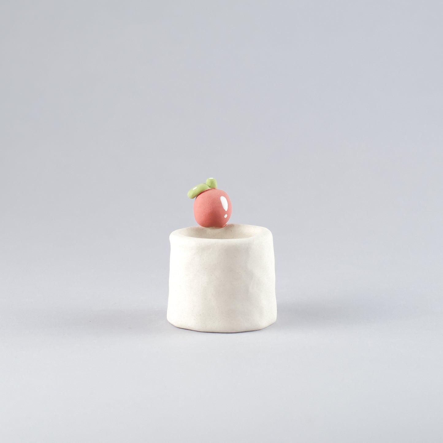 Mini Handmade Unglazed Succulent Pot – Thumb Size with Adorable Decorations