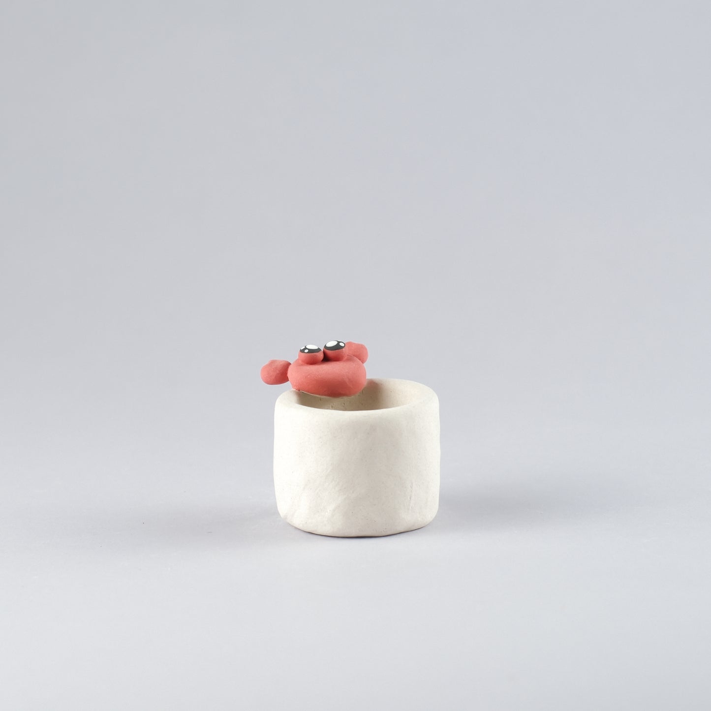 Mini Handmade Unglazed Succulent Pot – Thumb Size with Adorable Decorations