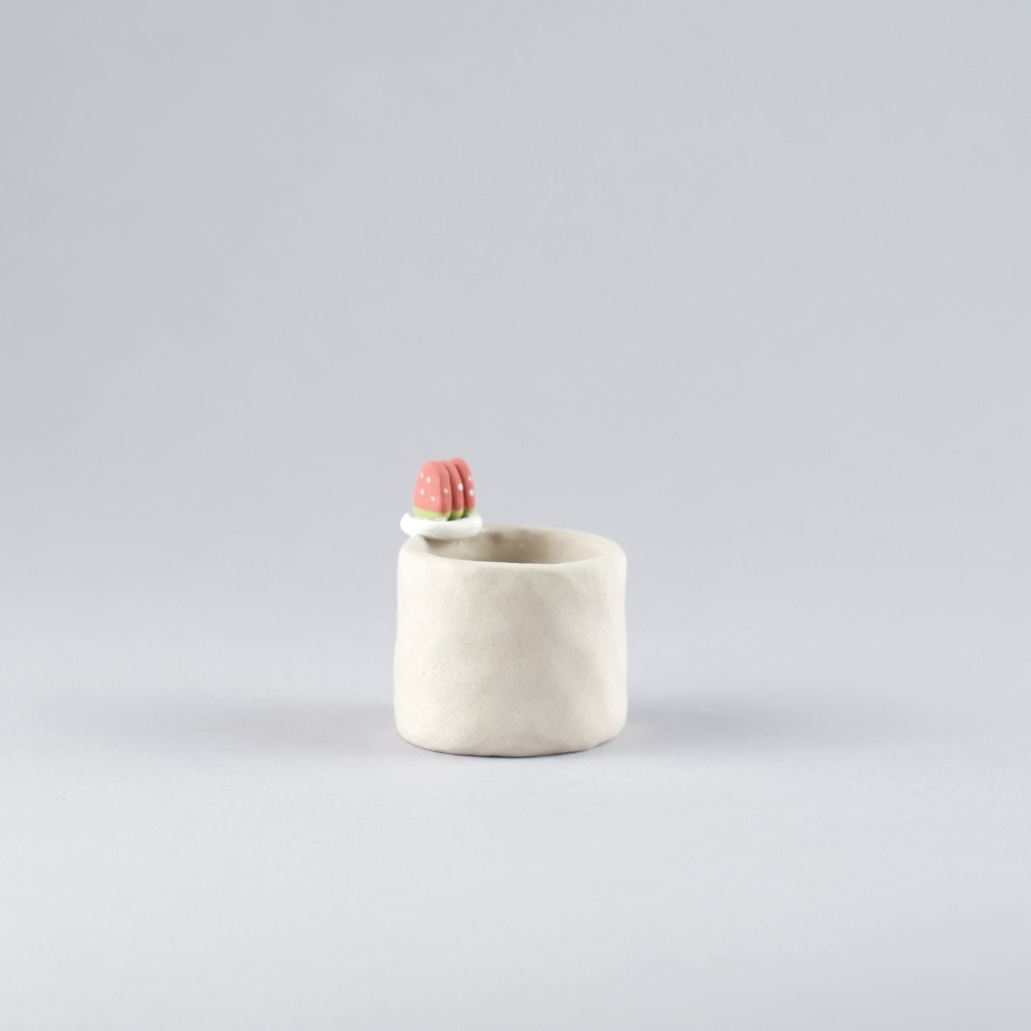 Mini Handmade Unglazed Succulent Pot – Thumb Size with Adorable Decorations