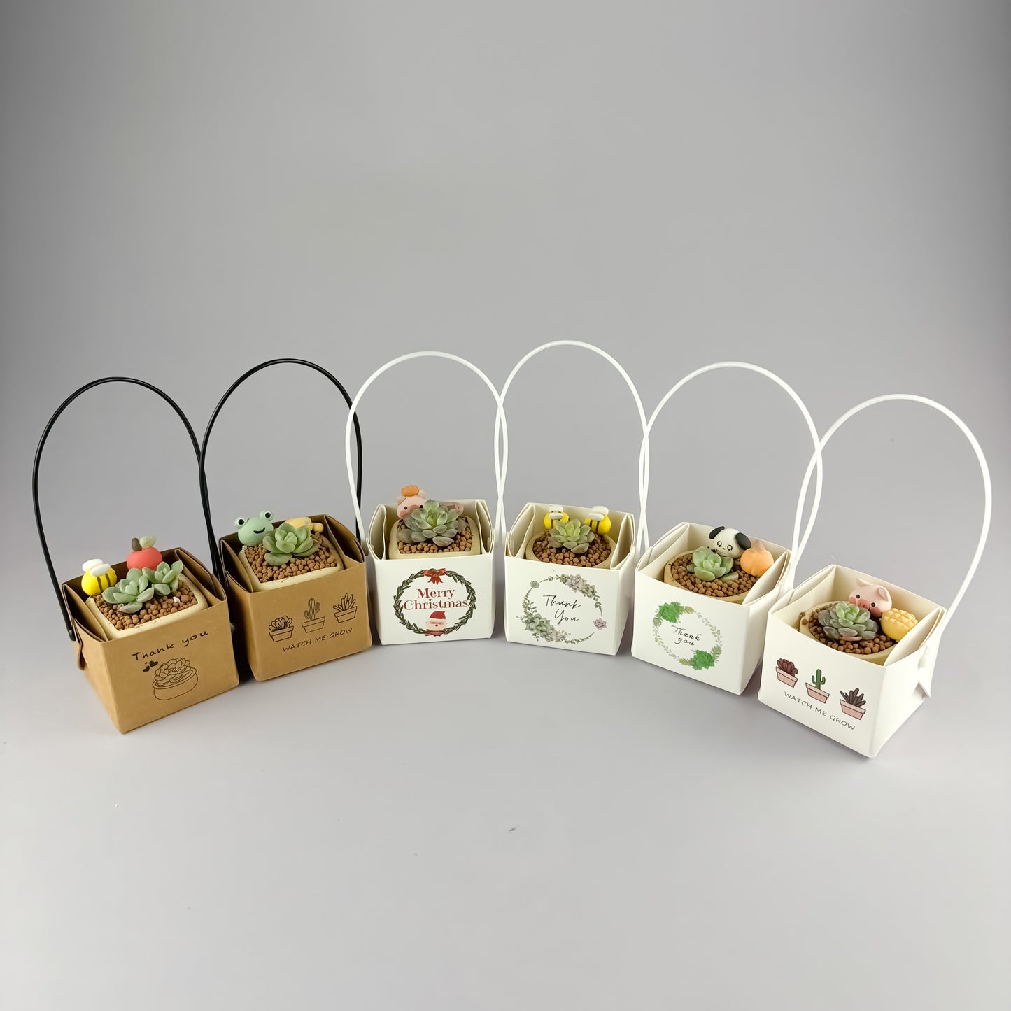 Succulent Gift Set - Succulent with handmade unglazed Succulent Pot + gift box (6 options)